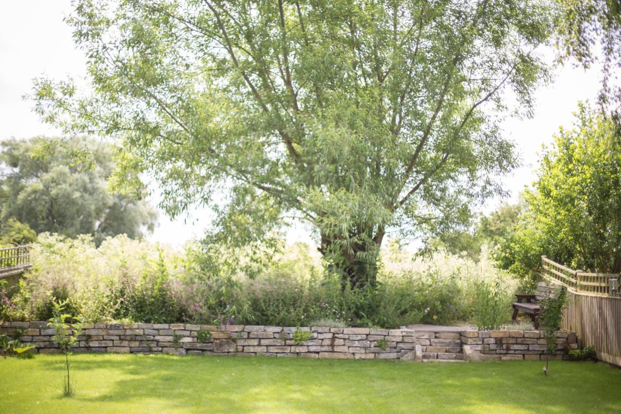 Withy Cottages Langport Екстериор снимка