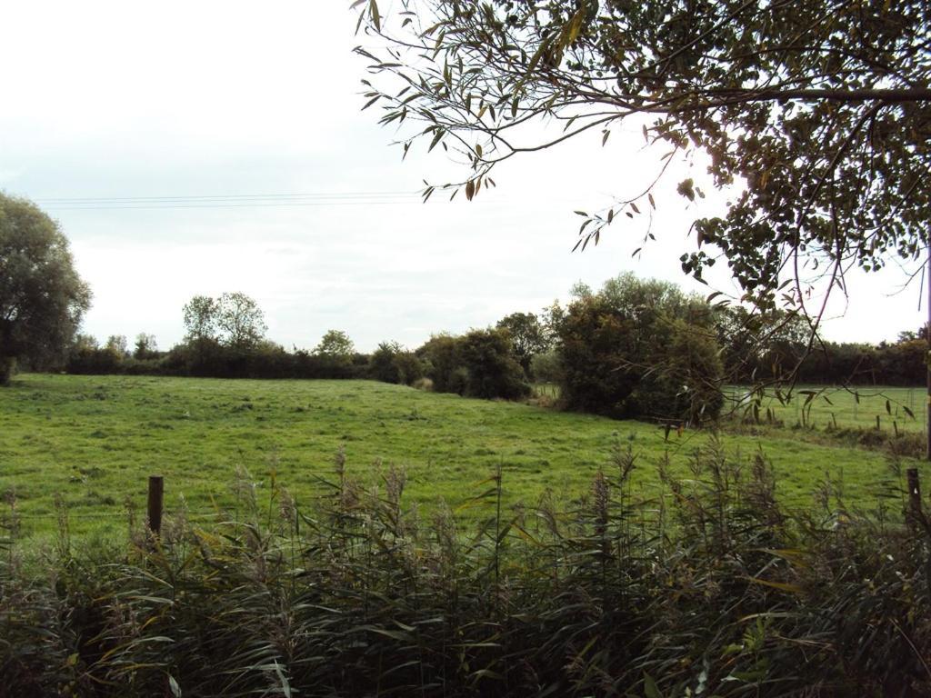 Withy Cottages Langport Екстериор снимка